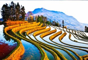 Paesaggio dello Yunnan