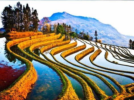 Paesaggio dello Yunnan
	