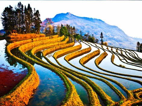 Paesaggio dello Yunnan