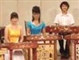 Strumento Musicale Yangqin 