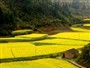 Villaggio Bellissimo Maoyuan a Jiangxi