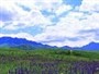 Introduzione Generale di Urumqi