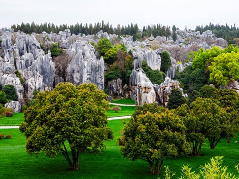 Foresta di Pietra