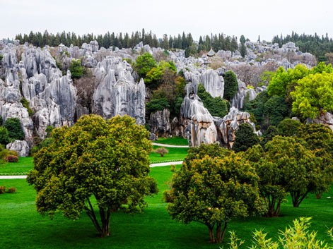 Foresta di Pietra
	