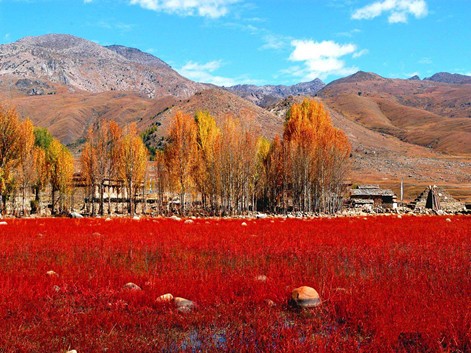 Yading