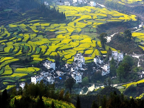 Wuyuan
	