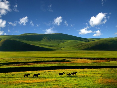 Hulunbeier