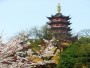Tempio Jiming