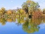 Parco Forestale Nazionale del Populus Euphratica d’Oro