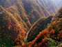 Yangzigou